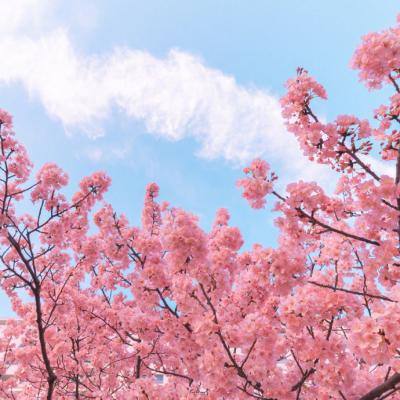 星际坠落生存冒险游戏下载